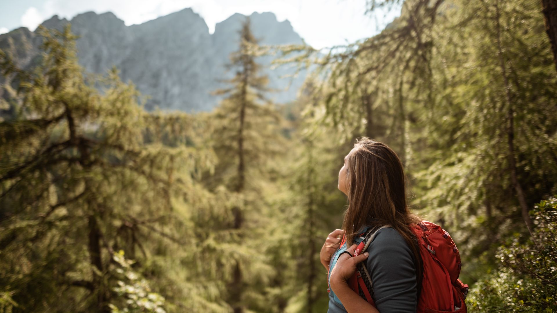 Tolle Wälder & Spektakuläre Aussichten prägen die Landschaft beim Wandern in Schenna & Umgebung